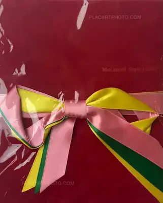 Sophie Calle – Moi aussi
