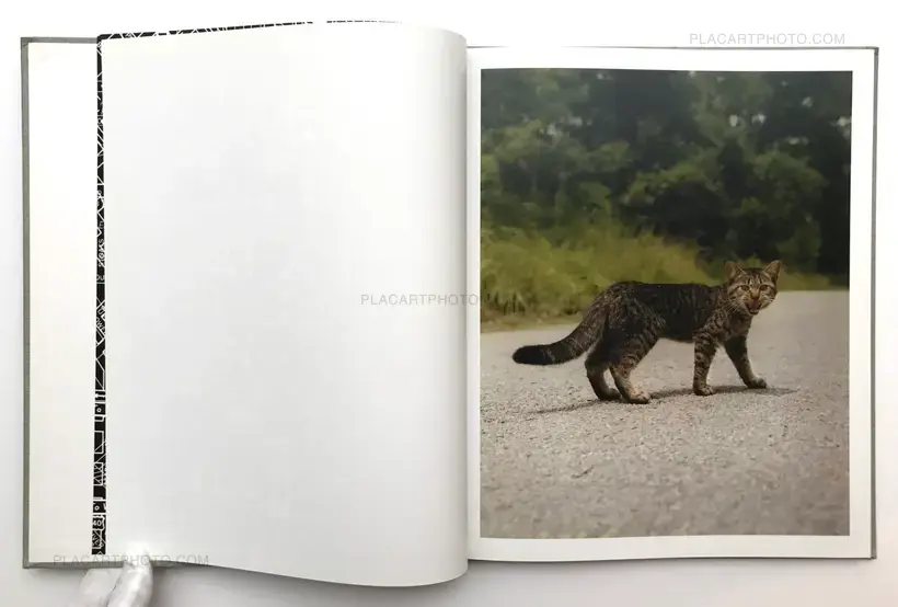 Gregory Halpern – A
