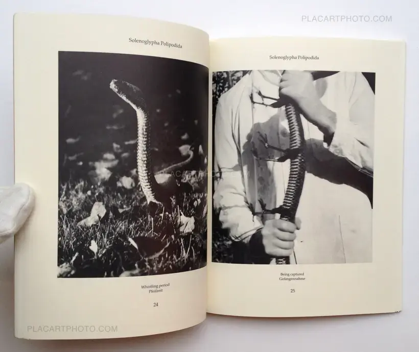 Joan Fontcuberta – Dr. Ameisenhaufen's Fauna