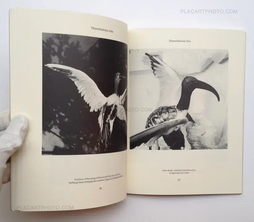 Joan Fontcuberta – Dr. Ameisenhaufen's Fauna