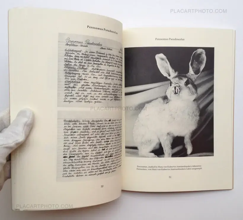 Joan Fontcuberta – Dr. Ameisenhaufen's Fauna