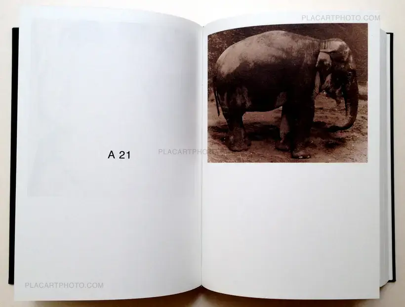 Paul Kooiker – Nude Animal Cigar (signed)