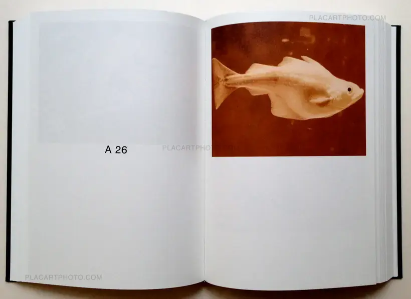 Paul Kooiker – Nude Animal Cigar (signed)
