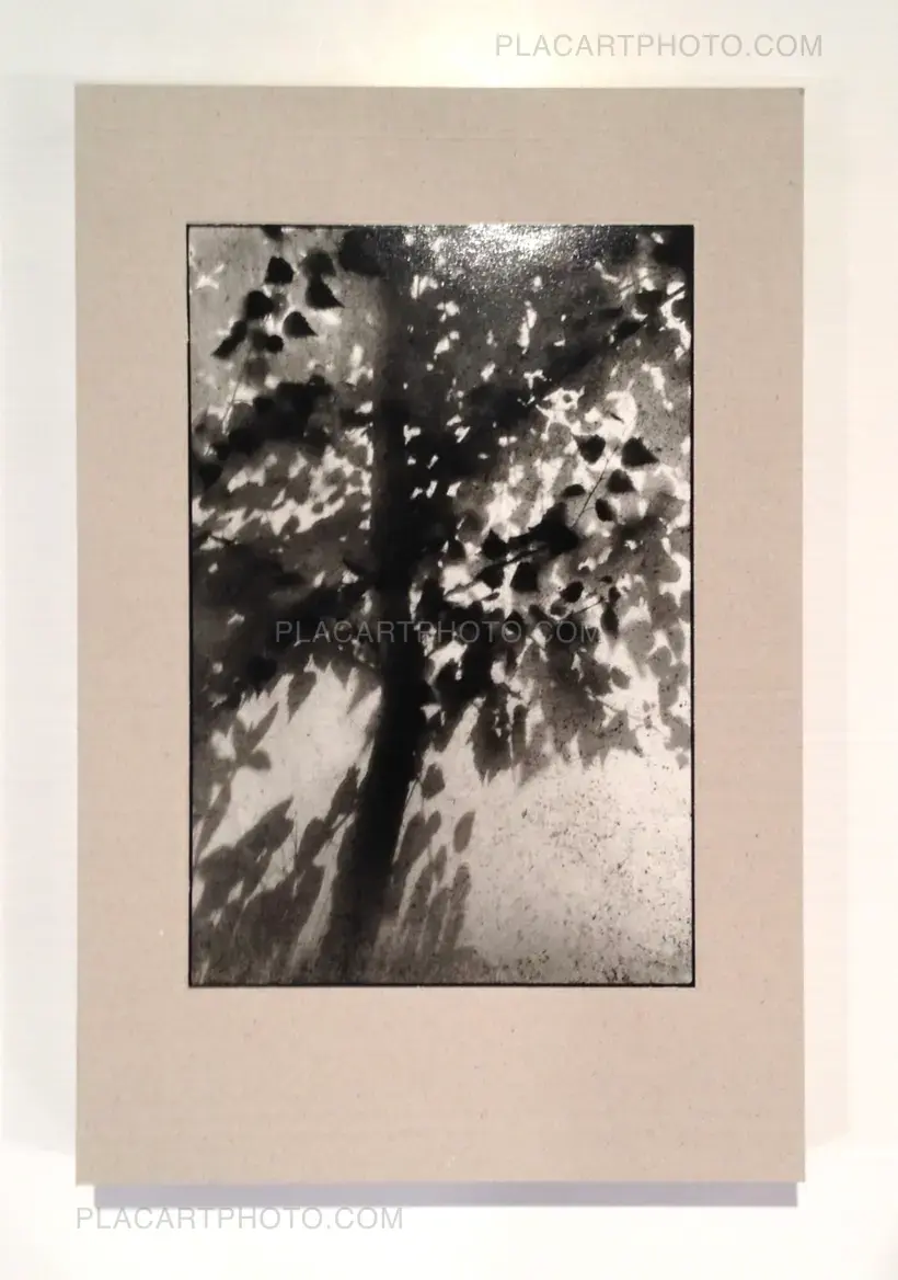 Machiel Botman – Three (SPECIAL EDITION WITH 3 PRINTS)