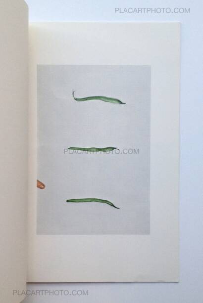 John Baldessari,Choosing : Green Beans