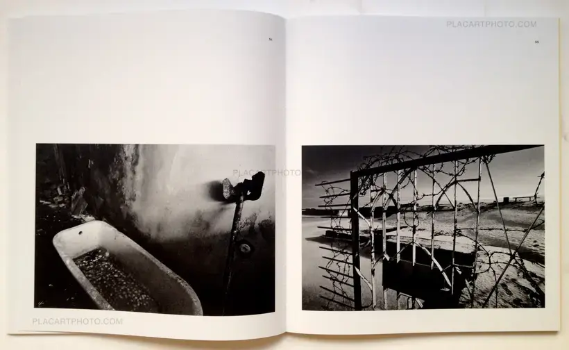 Vytautas Pletkus – Tustejimas / Vanishing