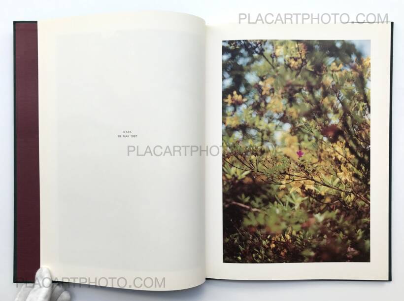 2000部限定写真集Terri Weifenbach Hunter Green 2000部限定写真集Terri Weifenbach Hunter Green 2000部限定写真集