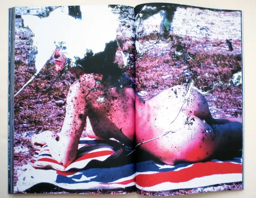 Brad Feuerhelm – Good Bye America