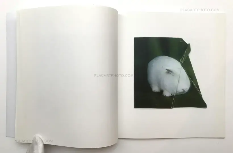 Ruth van Beek, The Hibernators (Limited to 200 copies), RVB Books, 2011 ...