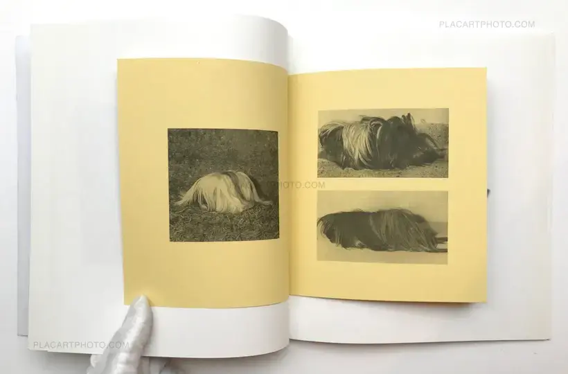 Ruth van Beek, The Hibernators (Limited to 200 copies), RVB Books, 2011 ...