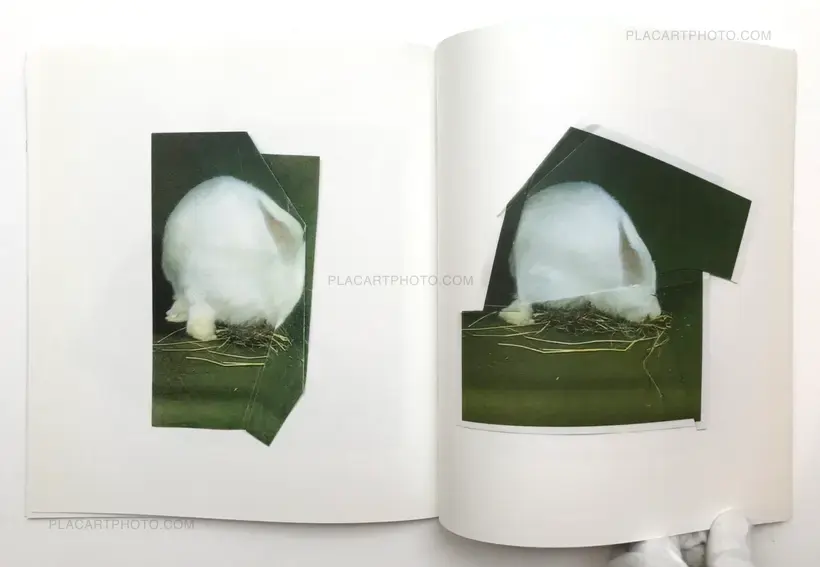 Ruth van Beek, The Hibernators (Limited to 200 copies), RVB Books, 2011 ...