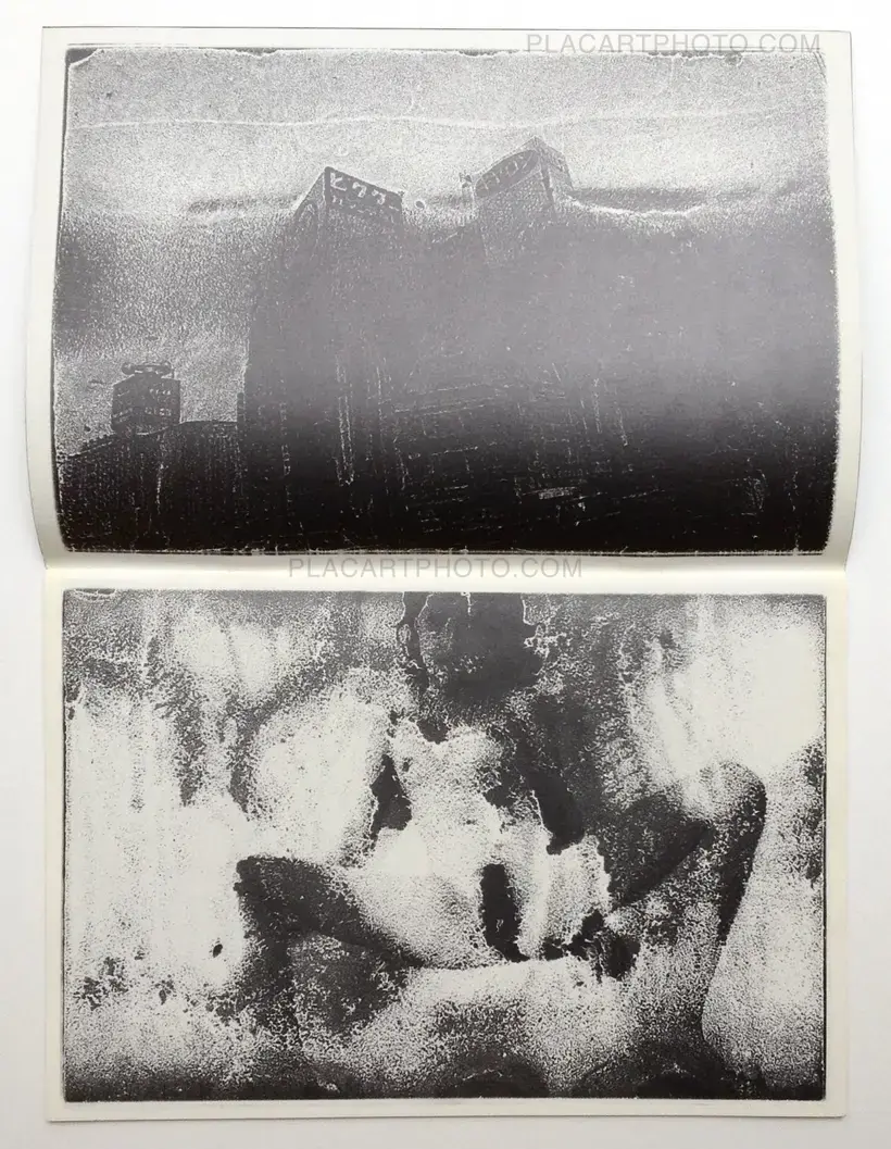 Nobuyoshi Araki – Shukei