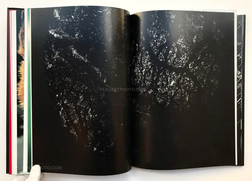 Kikuji Kawada – The Globe Theater (SIGNED)