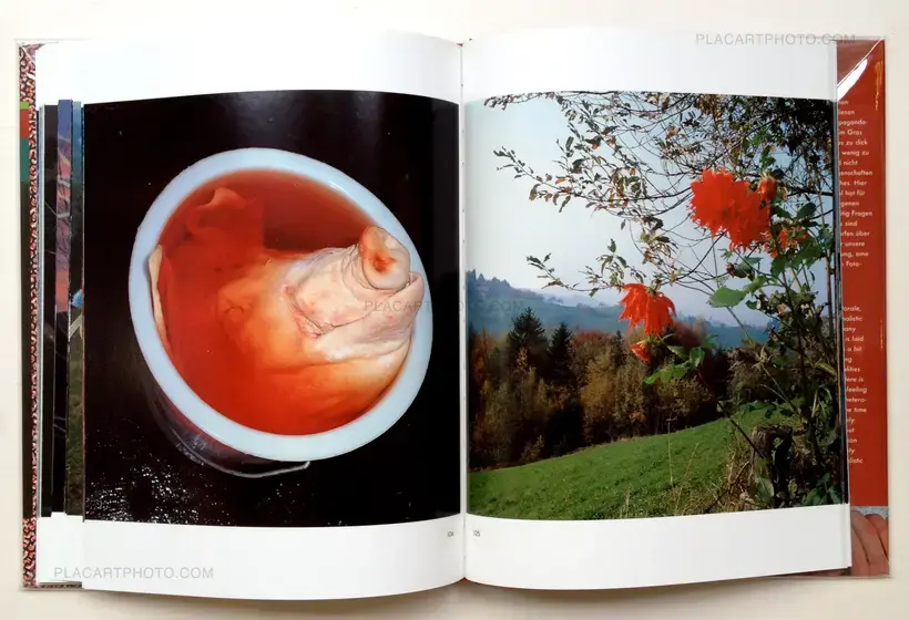 Manfred Willmann – Das Land