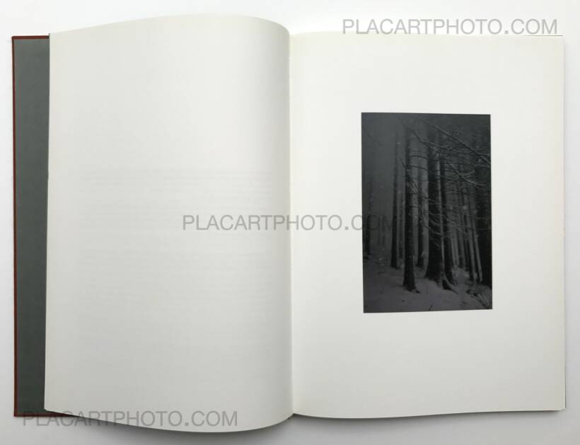 Jitka Hanzlova: Forest, Steidl, 2005 | Bookshop Le Plac'Art Photo