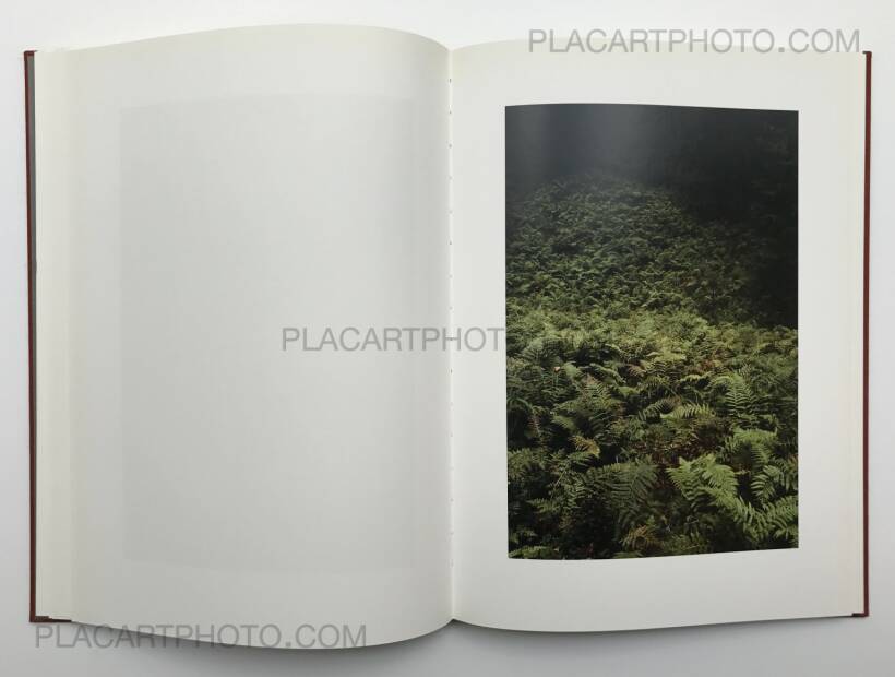 Jitka Hanzlova: Forest, Steidl, 2005 | Bookshop Le Plac'Art Photo