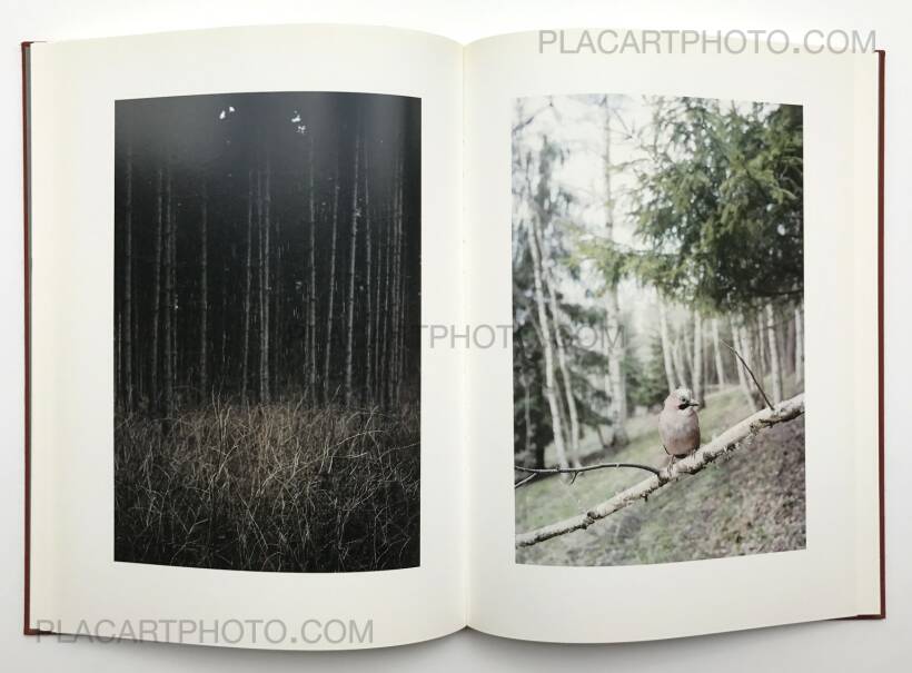 Jitka Hanzlova 写真集 100431_c_hanzlova_retrospektiv