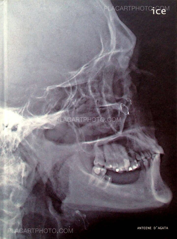 Antoine d'Agata: Ice, Images en manoeuvres éditions, 2012