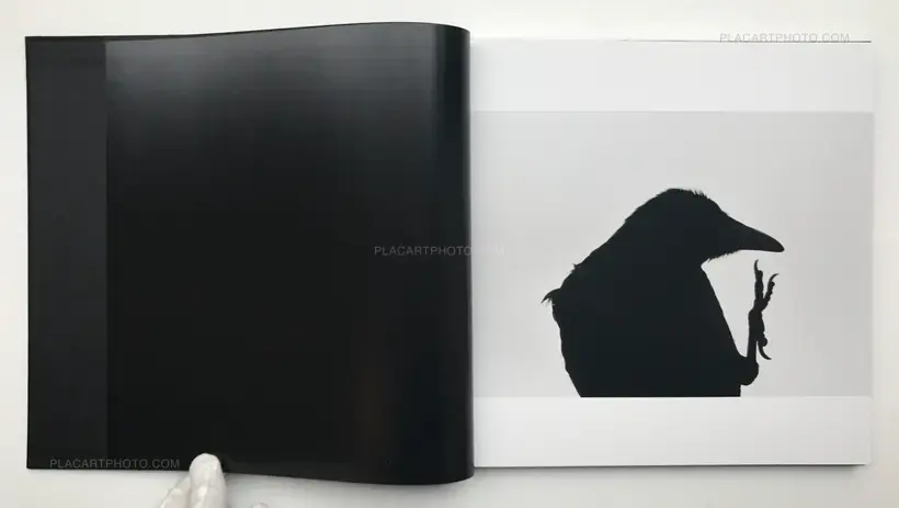 Masahisa Fukase – Ravens (Karasu)