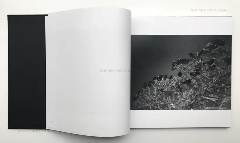 Masahisa Fukase – Ravens (Karasu)