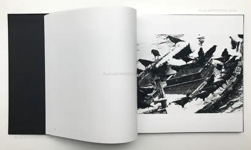 Masahisa Fukase – Ravens (Karasu)