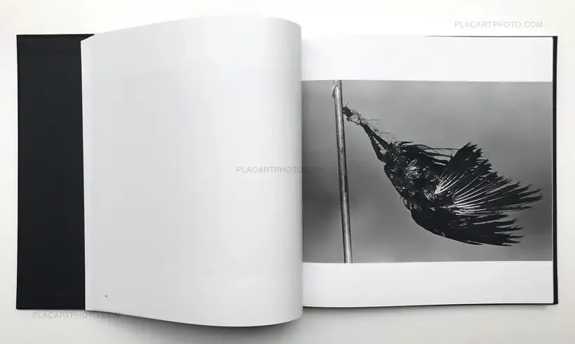Masahisa Fukase – Ravens (Karasu)