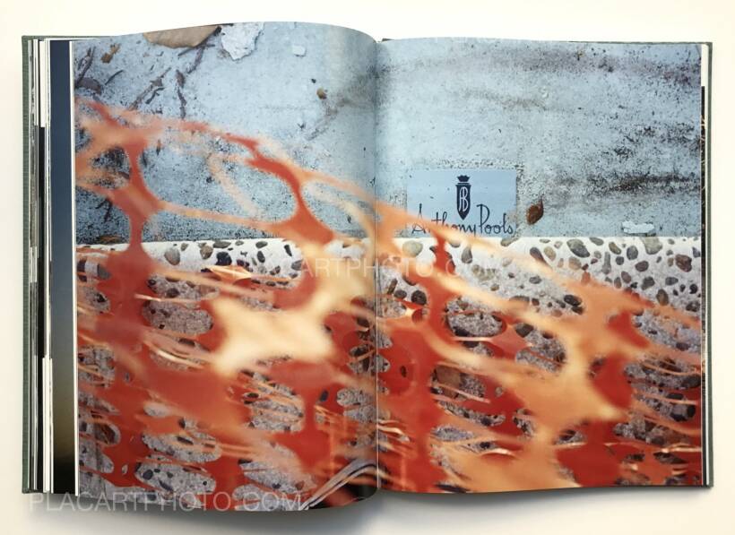 Tino Razo: Party in the back, Anthology Editions, 2017