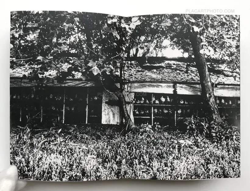 Nozomi Iijima – Scoffing pig (LESS THAN 100 COPIES)