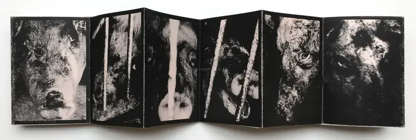 Nozomi Iijima – Scoffing pig (LESS THAN 100 COPIES)