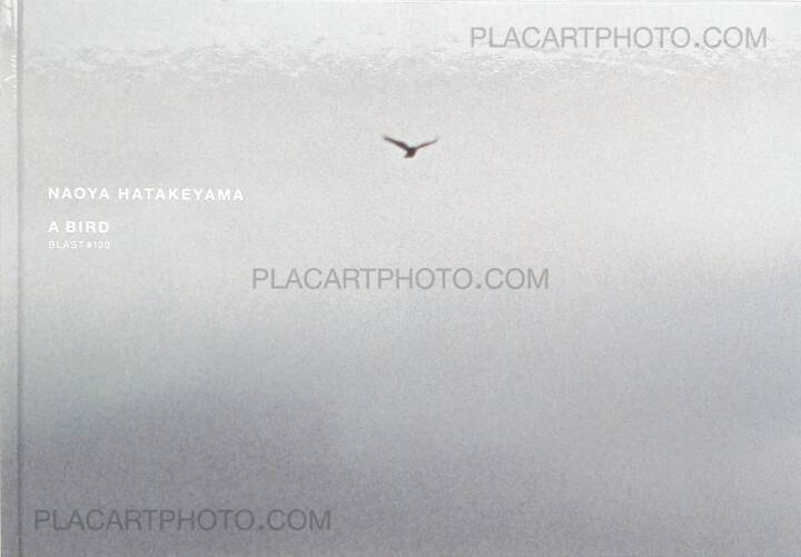 Naoya Hatakeyama: A Bird : Blast # 130, Taka Ishii, 2006