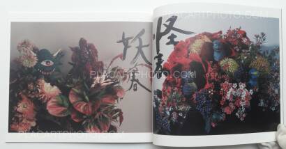 Nobuyoshi Araki,Imshun