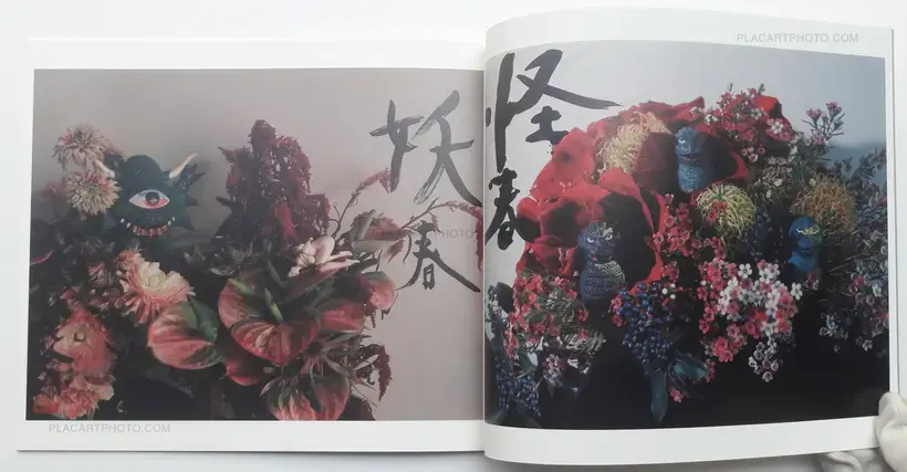 Nobuyoshi Araki – Imshun