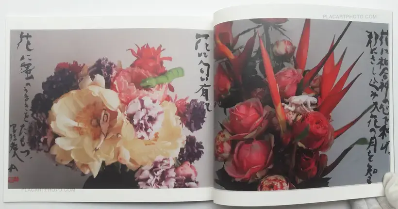 Nobuyoshi Araki – Imshun