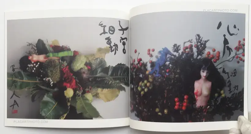 Nobuyoshi Araki – Imshun
