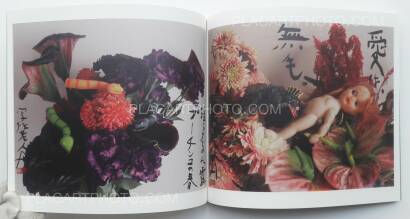 Nobuyoshi Araki,Imshun