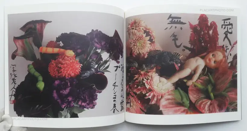 Nobuyoshi Araki – Imshun