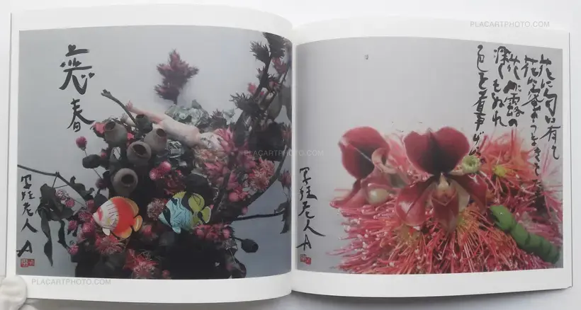 Nobuyoshi Araki – Imshun