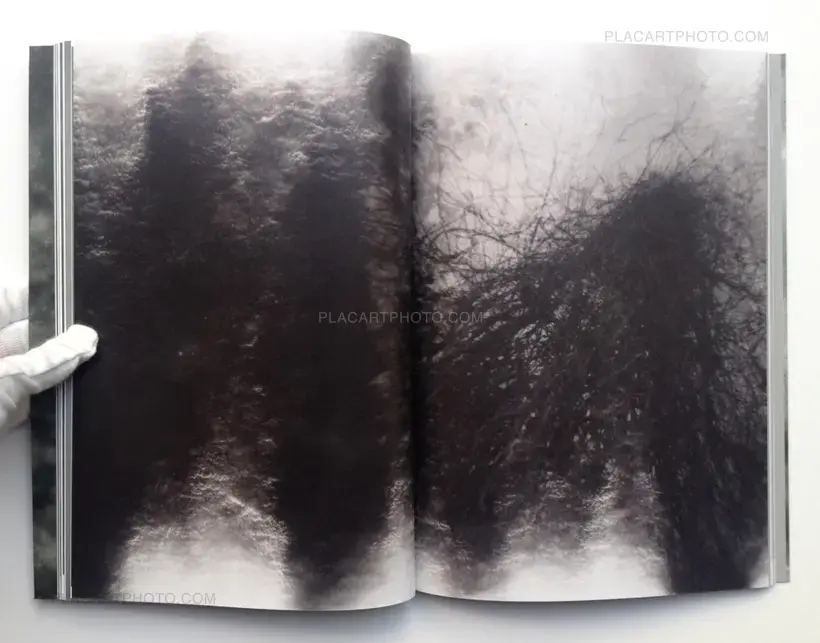 Olivier Pin-Fat – PABAIGA (Signed copy)
