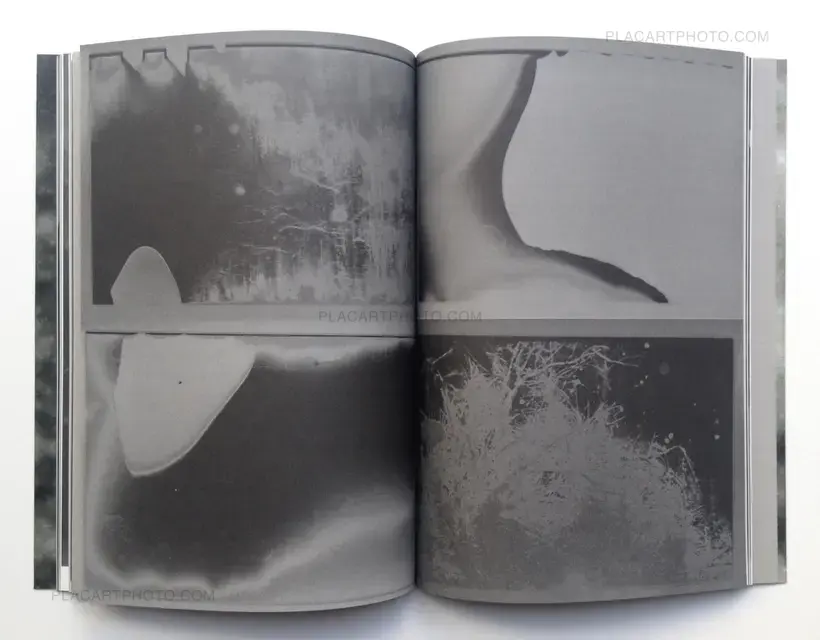 Olivier Pin-Fat – PABAIGA (Signed copy)