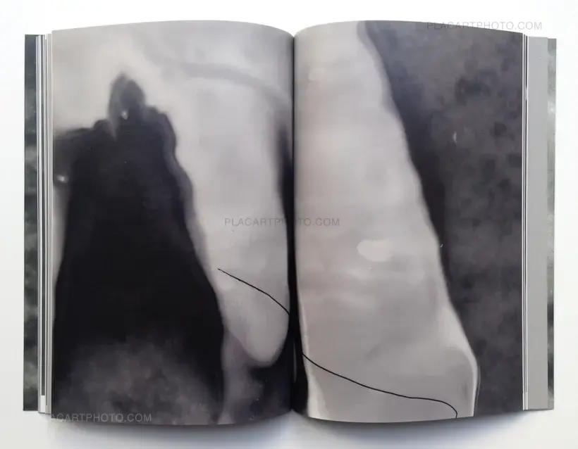 Olivier Pin-Fat – PABAIGA (Signed copy)