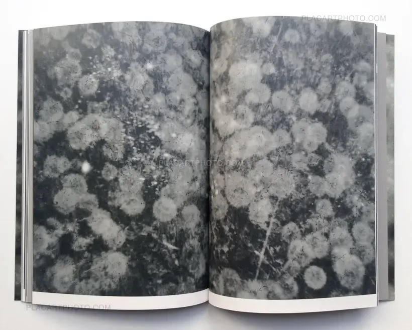 Olivier Pin-Fat – PABAIGA (Signed copy)