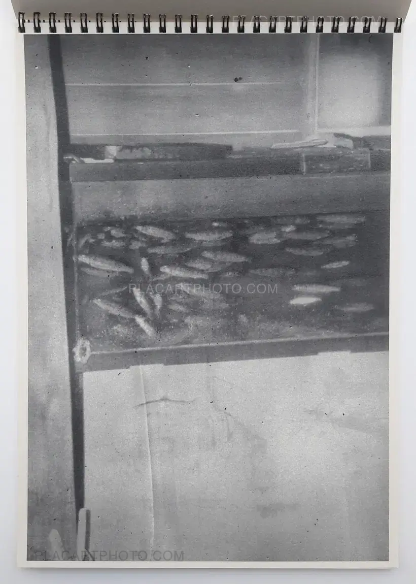 Daisuke Yokota – TEIKAI (Wandering at midnight)