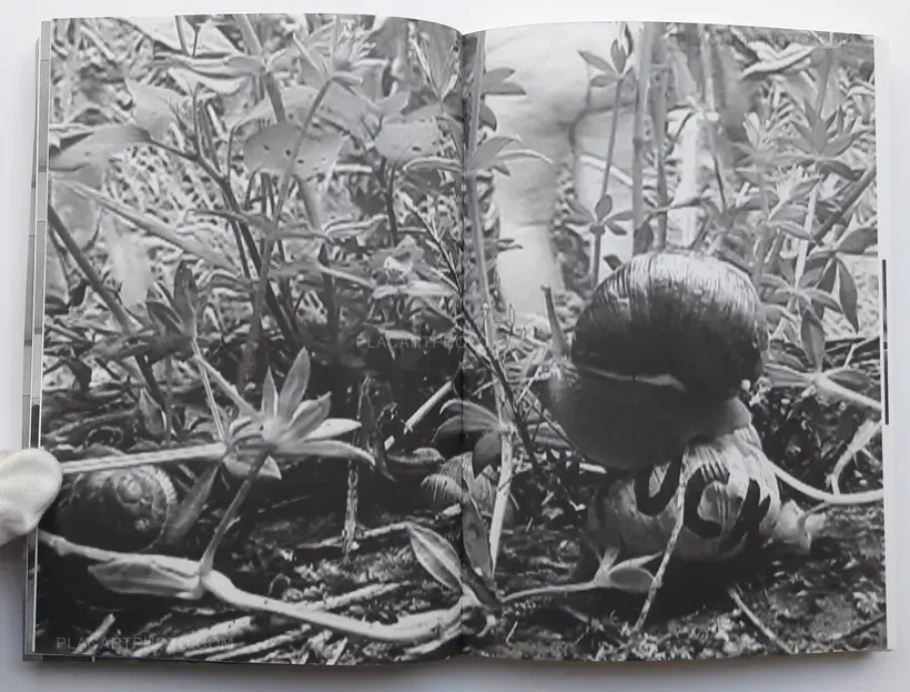 Attilio Solzi – Home Video Diary (SIGNED)
