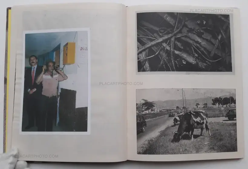 Collective – The cow and the orchid : generic colombian photography