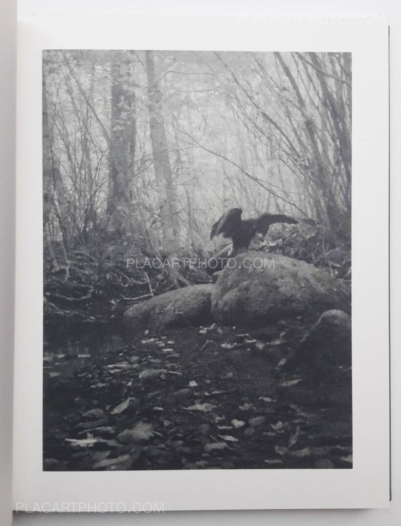 Stephen Gill: Night procession (SIGNED), Nobody books, 2017 Stephen Gill: Night procession (SIGNED), Nobody books, 2017