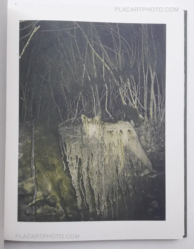 Stephen Gill: Night procession (SIGNED), Nobody books, 2017 Stephen Gill: Night procession (SIGNED), Nobody books, 2017