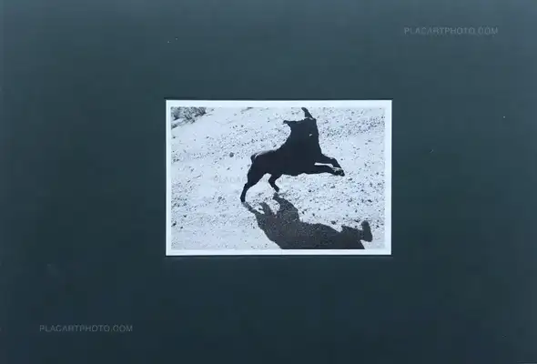 Collective – Pictures from moving cars