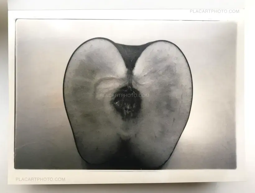 Nobuyoshi Araki – Theater of Love