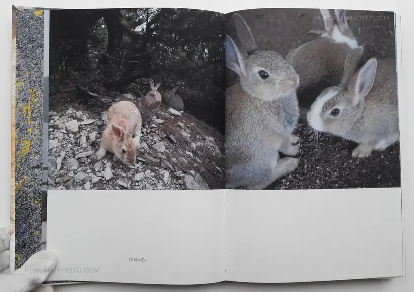 Yoshikatsu Fujii – Hiroshima Graph : Rabbits abandon their children (ONLY 72 COPIES - SIGNED)