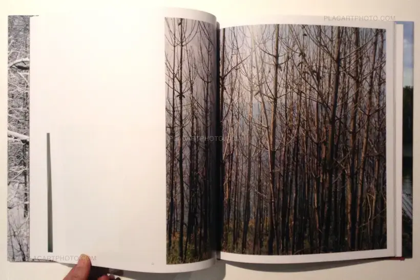 Nina Korhonen – Rewind the photographs (ONLY 15 COPIES - WITH PRINT)